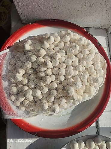 стол кресло: Жаны накта курут, сатылат баасы 650 сомдон. Байланыш телефону — 8