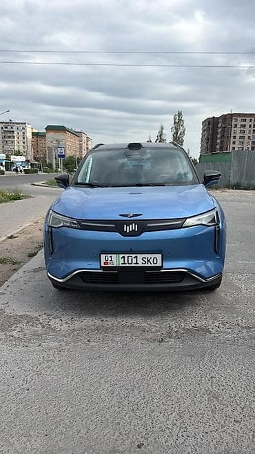 электро машине: BYD : 2021 г., Автомат, Электромобиль, Внедорожник — 6