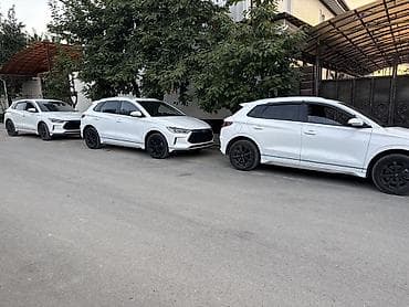 короткая база: Белый компактный кроссовер с черными элементами стайлинга. Основные — 1