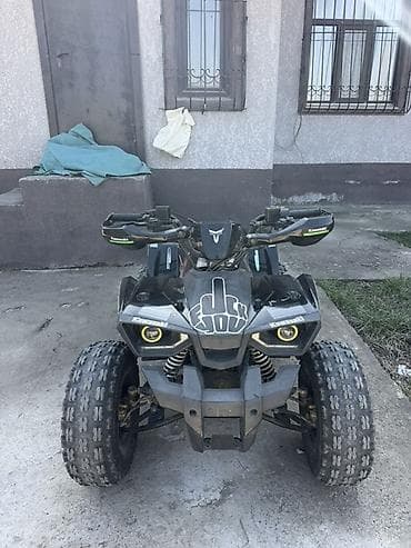 муравей мотолер: Квадроцикл Tao Motor Hunter (наклейки Kawasaki), черный - Привод: 4x2 — 6