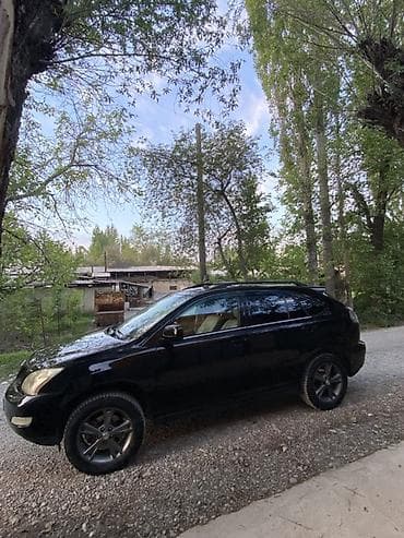ls 400: Lexus RX: 2004 г., 3.3 л, Автомат, Бензин, Кроссовер — 2