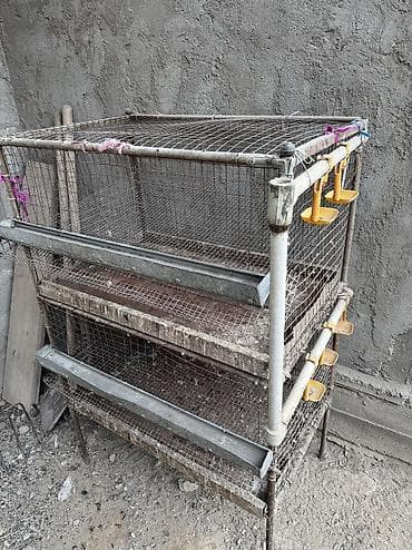 клетка для петухов: Продаю клетку для перепел — 5
