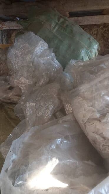 пластик буу: Пластик кабыл алуу — 26