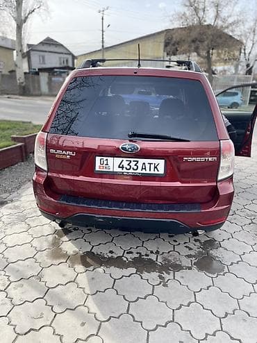 колор: Subaru Forester: 2009 г., 2.5 л, Автомат, Бензин, Внедорожник — 4