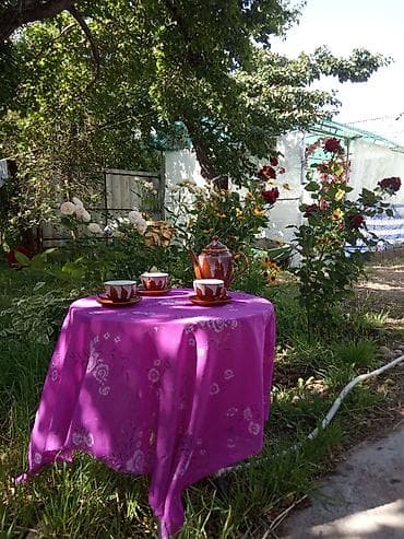 Водный транспорт: Прогулки на катере/лодке «КРУИЗ» - Морские и речные прогулки по — 8