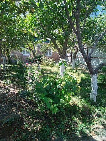 времянка купить: Квартира берилет!!! 🏡 БЕЗ ХОЗЯИНА! Короо тозулган, соонун огород — 3