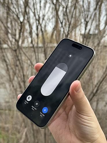 Apple iPhone: IPhone 15 Pro, 256 ГБ, Natural Titanium, Коробка — 4