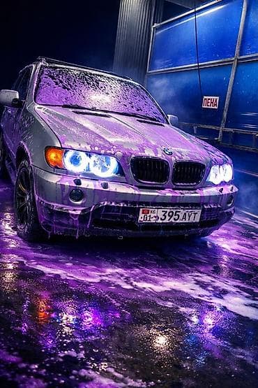 ещка 303: BMW X5: 2001 г., 4.4 л, Типтроник, Газ, Кроссовер — 1