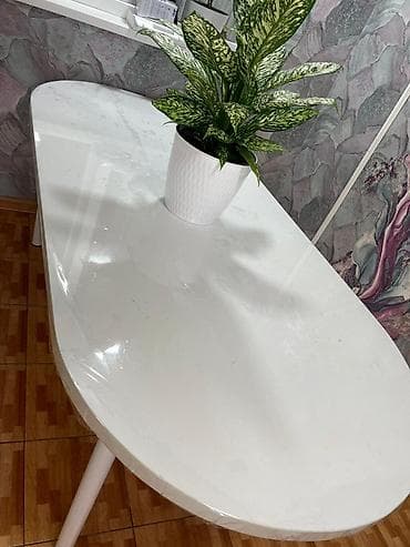 coffee table: Кухонный стол, Овальная, Нераскладной — 2