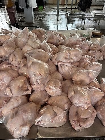 ТУШКА ТООК ЭТИ САТЫЛАТ🍗 Грильный весь1,3-1,6 кг га чейин 240сом — 3