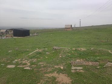 большой сад: 4 соток, Для строительства, Красная книга — 2