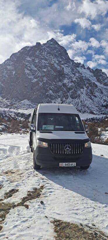 Реклама, печать: Бус на заказ — 11