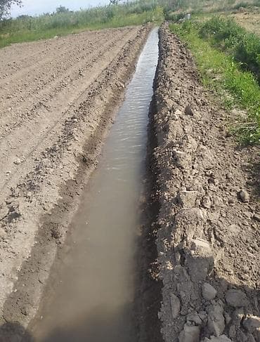 t 25: Арычник, Арыкорез новый — 4