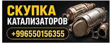 3 sfe: Сервис по скупке автомобильных каталитических нейтрализаторов. Что — 1