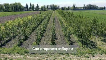 частный дом в бишкеке: 400 соток, Для строительства — 2