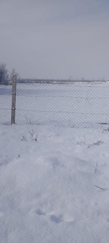 шалта: 15 соток, Курулуш, Кызыл китеп — 5