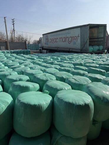 возьму собаку даром: Продаю силос высшего качества Мелкого дробления с зернами Адрес село — 2