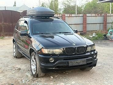 BMW X5: 2003 г., 3 л, Автомат, Дизель, Кроссовер — 5