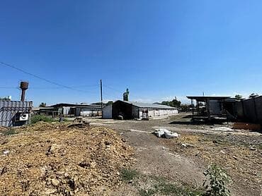 66: 63 соток, Договор купли-продажи — 6