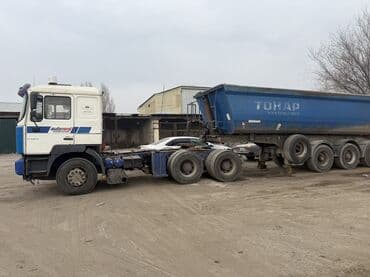 купить резину на трактор: Тягач, MAN, 2001 г., Самосвал — 2