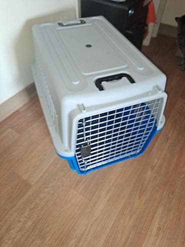 отдам в добрые руки кошку: Переноски для животных (кошек, мелких собак, кроликов) - Материал — 3