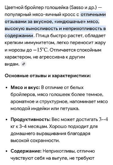 С/х животные и товары: Продаю | Цыплята | Бройлерная | Для разведения — 2