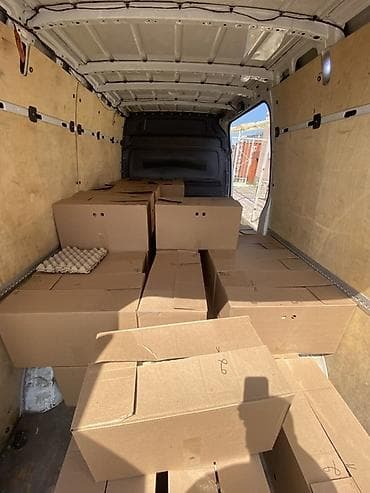 латок для яйца: Куриные яйца, прямые поставки с фабрики. фасованные в лотки и в пачки — 1