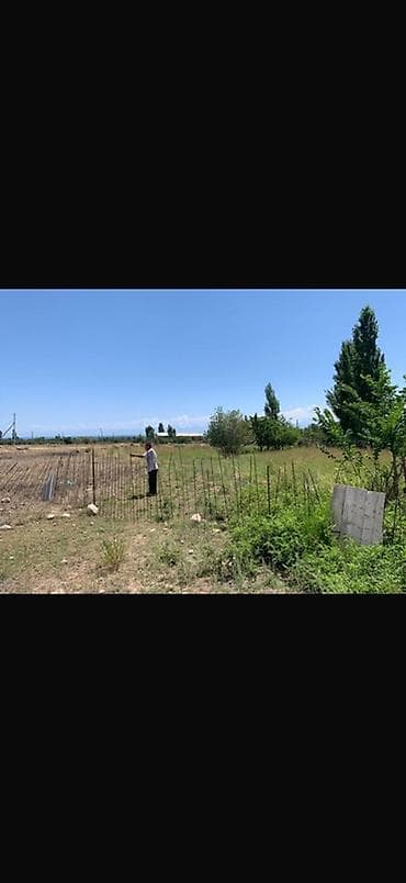 Дома: 8 соток, Для строительства, Красная книга — 5