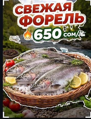 кымыз сатылат: Свежая форель - Вид: радужная форель, охлаждённая - Форматы: целая — 3