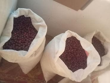 где купить листья малины: Сухой шиповник, цельные ягоды в мешках - Натуральные плоды шиповника — 3