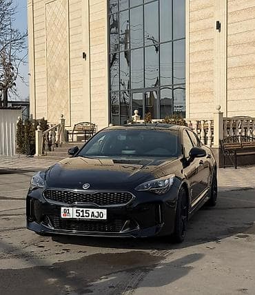 kia stringer: Kia : 2018 г., 2 л, Автомат, Бензин, Седан — 9
