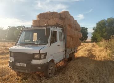 Легкий грузовик, Mercedes-Benz, Дубль, 3 т, Б/у