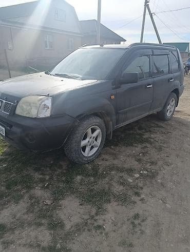 Nissan X-Trail: 2003 г., 2.5 л, Ручные, Бензин, Кроссовер