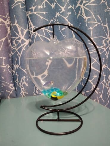 купить аквариум для рыбок недорого: Флорариумы на заказ. Идеальный и необычный подарок. Хотите удивить — 9