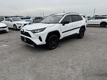 mark x: Toyota RAV4: 2019 г., 2.5 л, Гибрид — 1