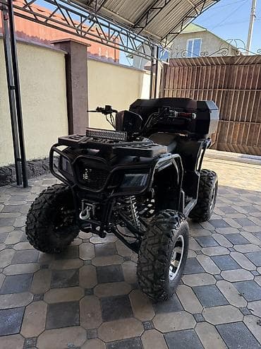 грузовые квадроцикл: Квадроцикл 250 кубиков коробка автомат лебедка есть автозапуск Цена — 5