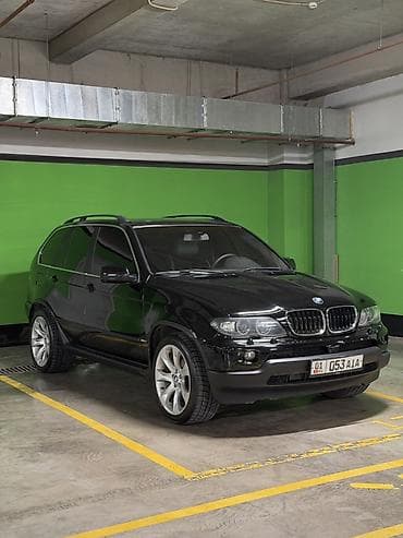 BMW X5: 2002 г., 4.4 л, Автомат, Бензин, Внедорожник