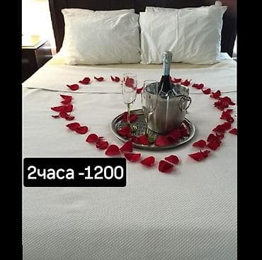 5: 1 комната, Люкс, элитка, Гоин, Душевая кабина, Постельное белье, Кондиционер — 1