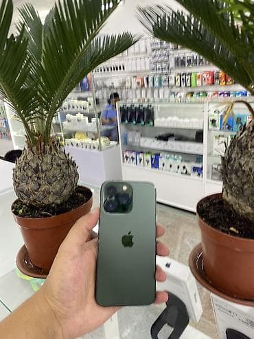 IPhone 13 Pro, 128 ГБ, Alpine Green, Кабель