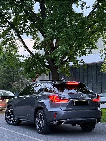 mini car: Lexus RX: 2017 г., 3.5 л, Автомат, Бензин, Кроссовер — 6