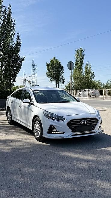 дверь сапог: Hyundai Sonata: 2021 г., 2 л, Автомат, Газ, Седан — 3