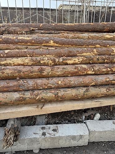 леса турецкие: Срочно!!! Продается Кругляк(сосна, пихта, тополь и др. породы)длина — 7