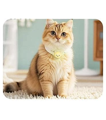 лоп: HOCO E91D — УМНЫЙ GPS-ТРЕКЕР ДЛЯ КОШЕК И МАЛЕНЬКИХ СОБАК 🐱🐶 Всегда — 8