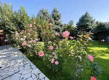 Күндүк ижара: 250 м², 3 бөлмө, Үй-бүлөлүүлөргө — 3