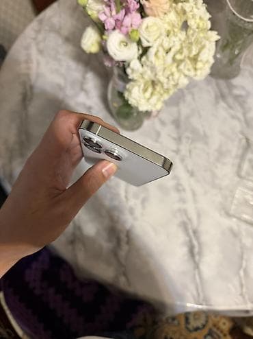 iphone 5s: IPhone 14 Pro Max, Б/у, 256 ГБ, Серебристый, Защитное стекло, Чехол, Кабель, 87 % — 4