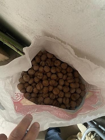 семис бука: Грецкий орех продаю хороший вкусный ни какой химий — 3