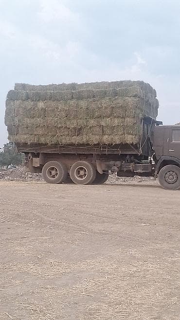 mercedes atego: Грузовик, Камаз, Стандарт, 7 т, Б/у — 4