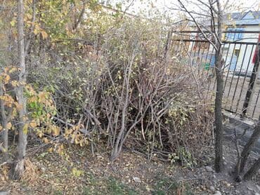 столешница цена бишкек: Отун сатылат — 2