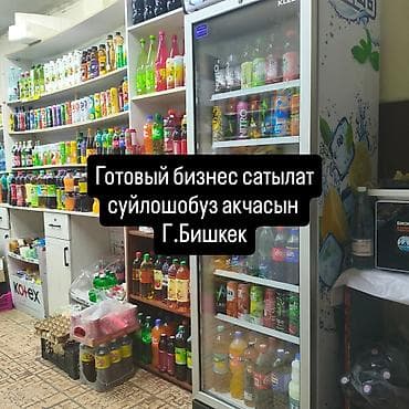 торговл: Готовый бизнес сатылат товар менен где-то 50-+ отдельно морозилку — 7