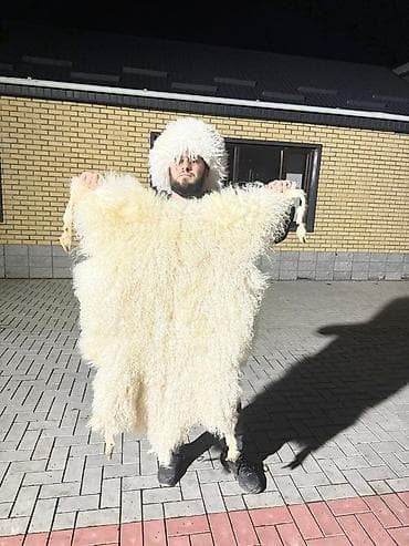 верхний одежда: Продаются ангорские шкуры козье — 1